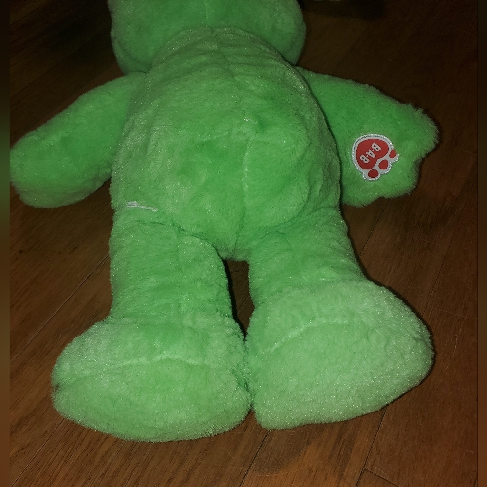 Build-A-Bear Green Frog Stuffed Animal - Picture 10 of 11